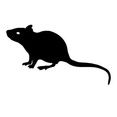 ネズミのイラスト